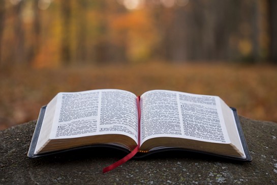 aaron-burden-426280-unsplash